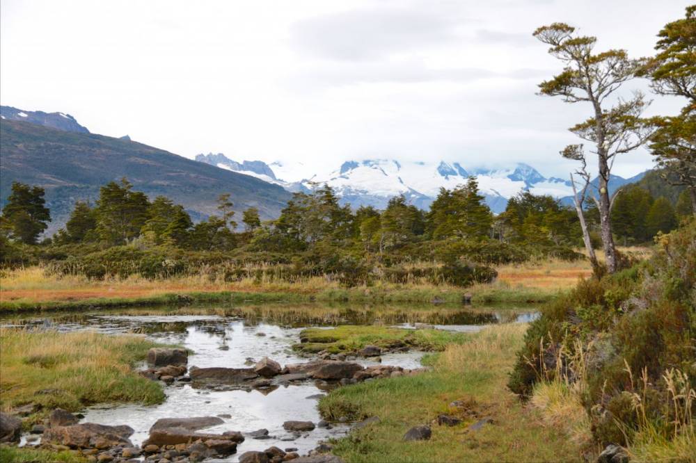 145675 Patagonie Rivages du monde 2016 Via Australis Cruceros