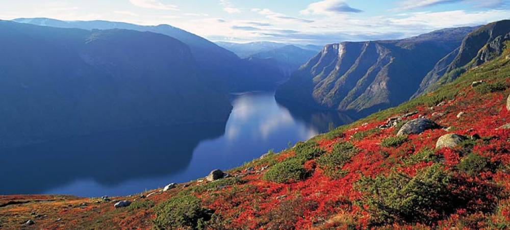 149466 naeroyfjord