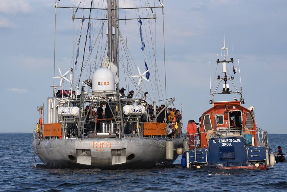 149506 départ Tara Corail