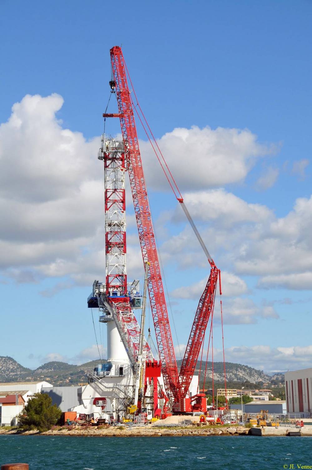 150213 grue toulon