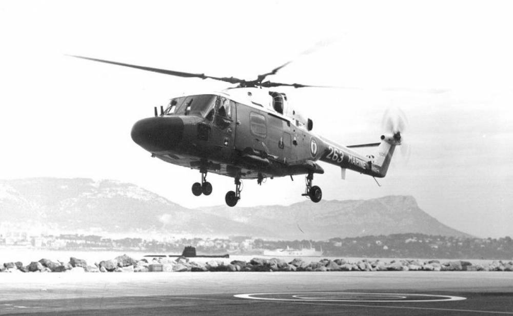 150939 lynx