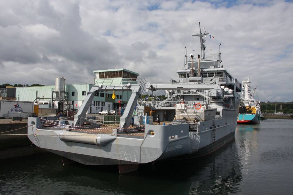 151263 b2m bougainville