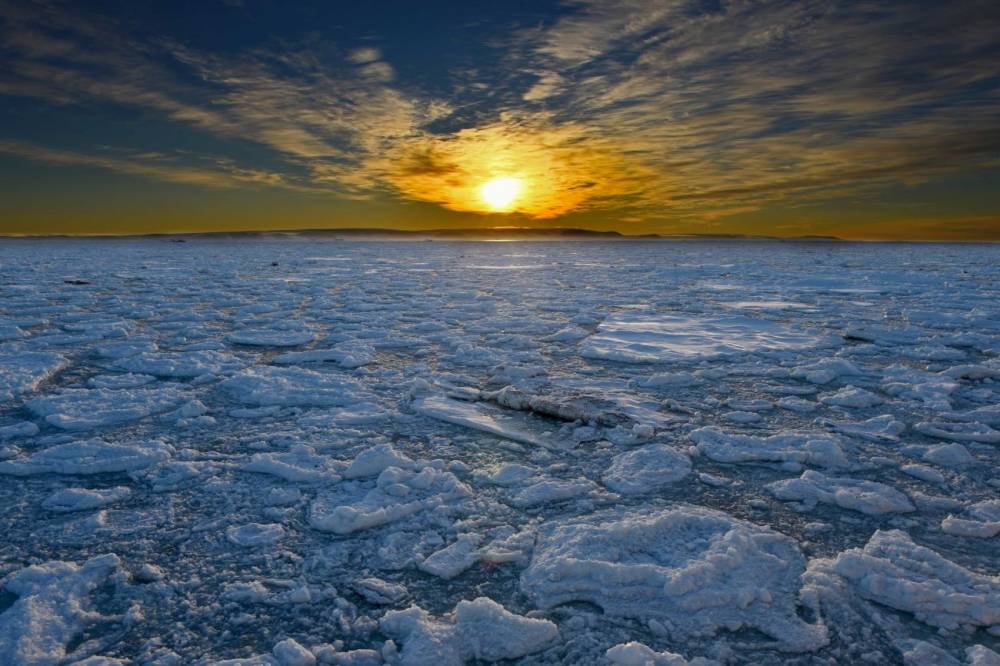 154827 hapag hanseatic passage nord est ours polaire arctique