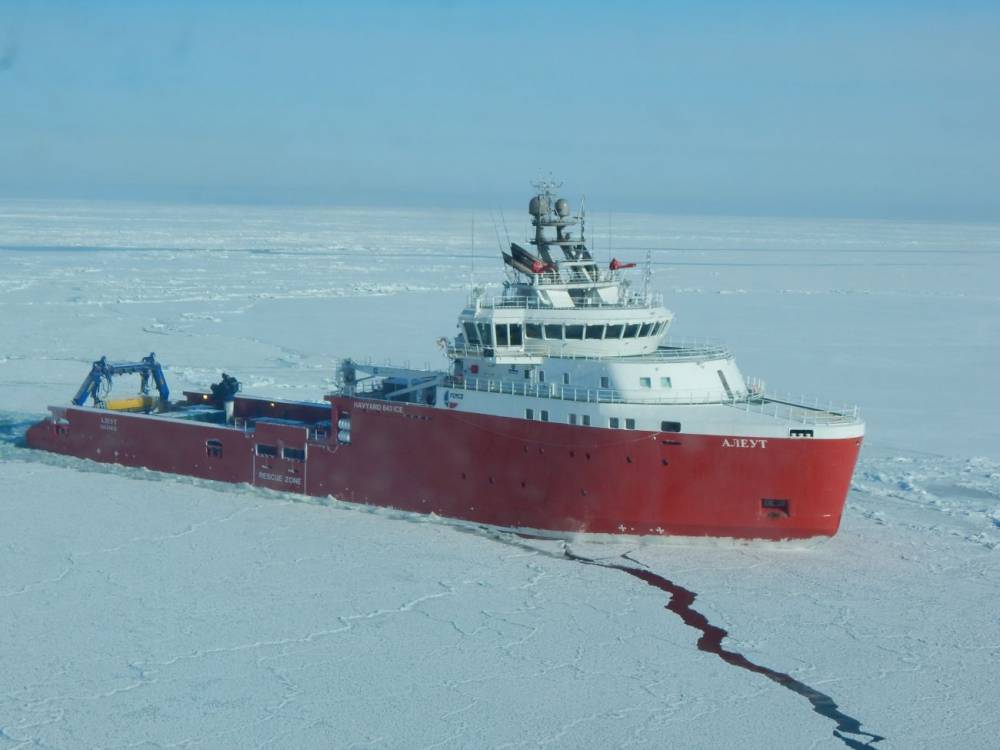 155829 Havyard