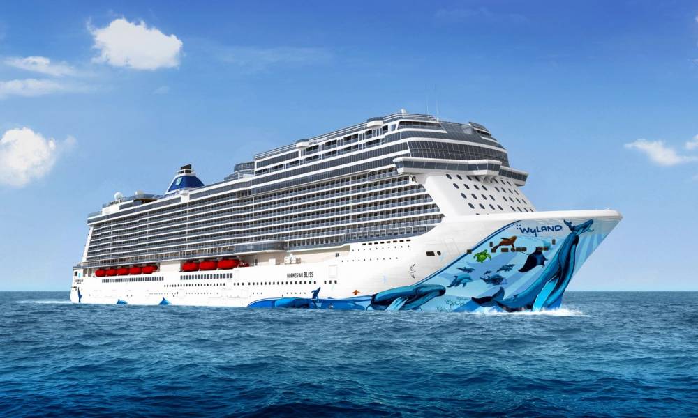 157451 meyer soudage norwegian bliss