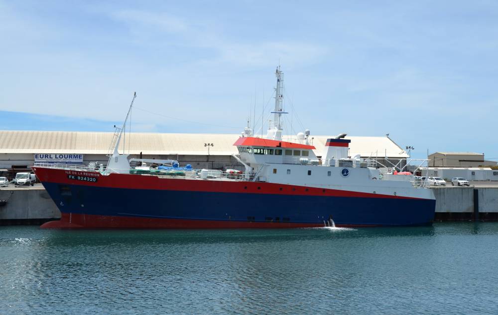 179468 ile de la reunion comata