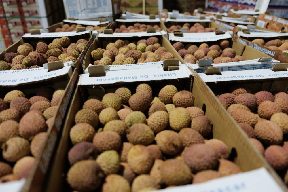 179730 sete fruitier litchis