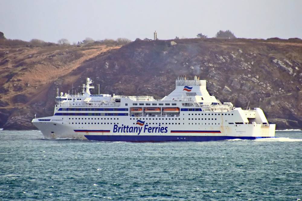 Brest : Un paquebot et un ferry chez Damen | Mer et Marine