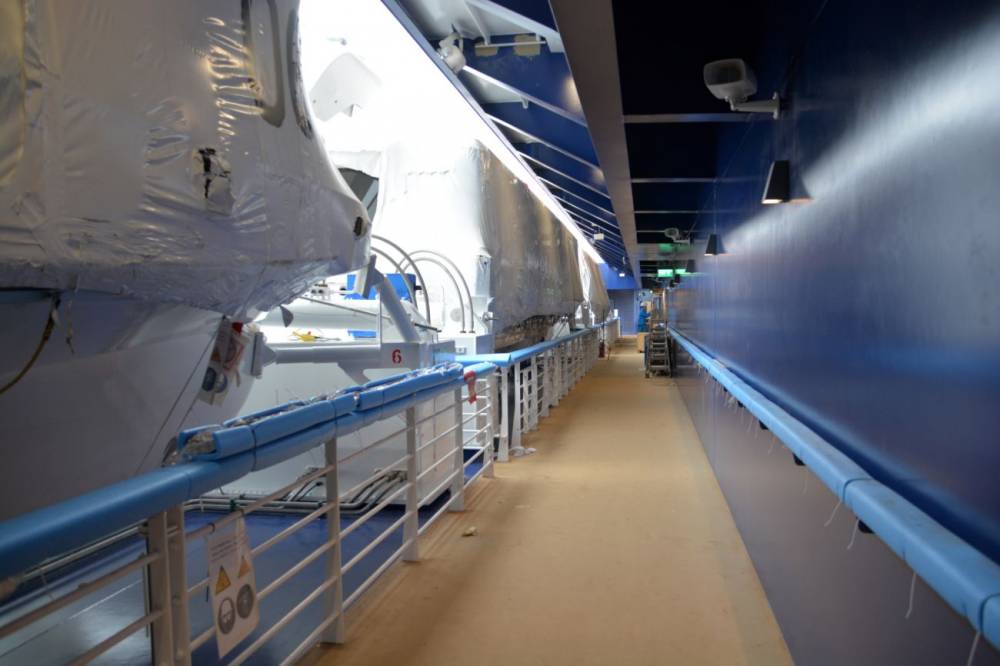 195765 celebrity edge
