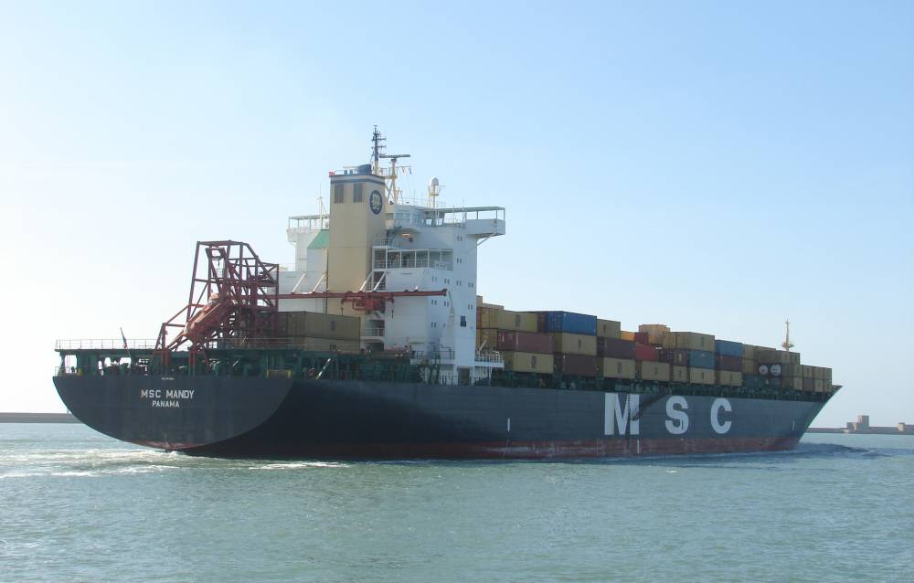 202051 msc mandy