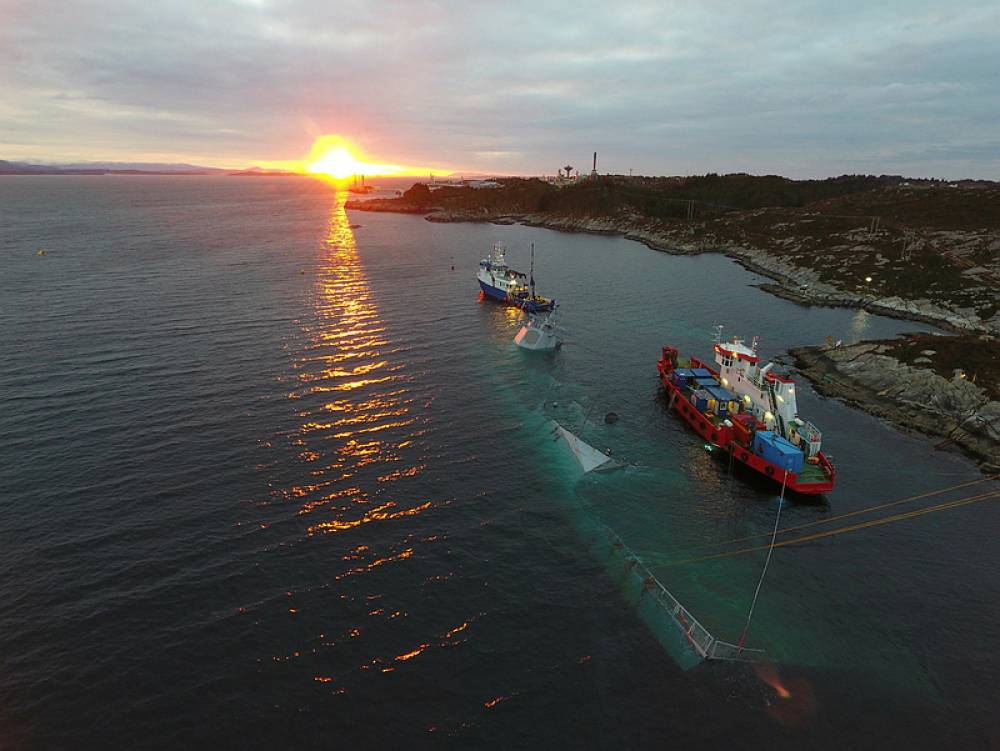 203677 helge ingstad