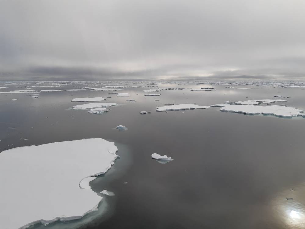 212208 glace Svalbard