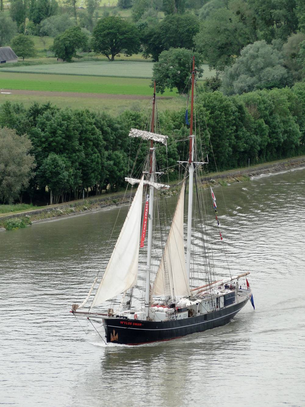 210786 armada Wylde Swan