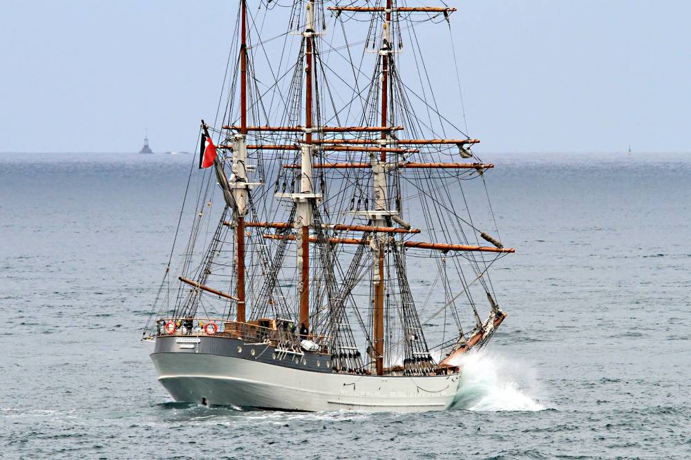 210864 le français