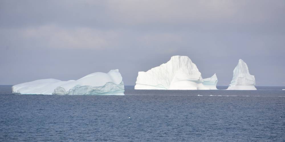 215234 groenland icebergs