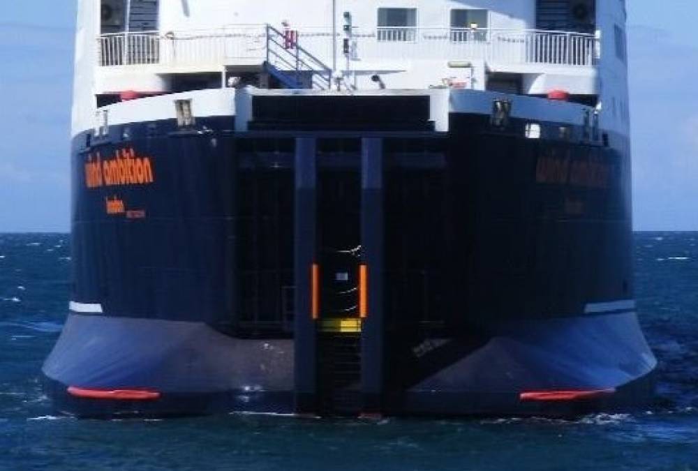217203 scandinavica