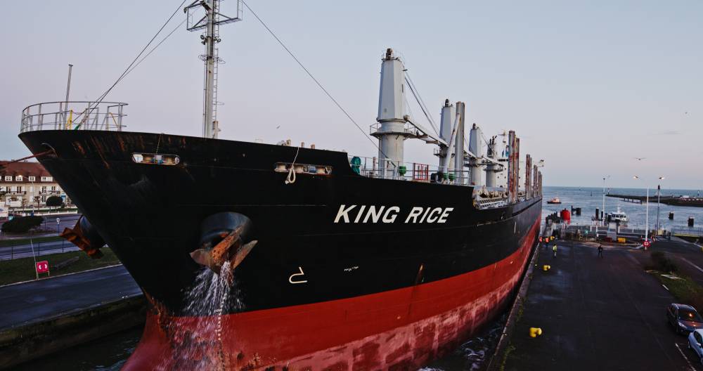 222083 caen ecluses king rice