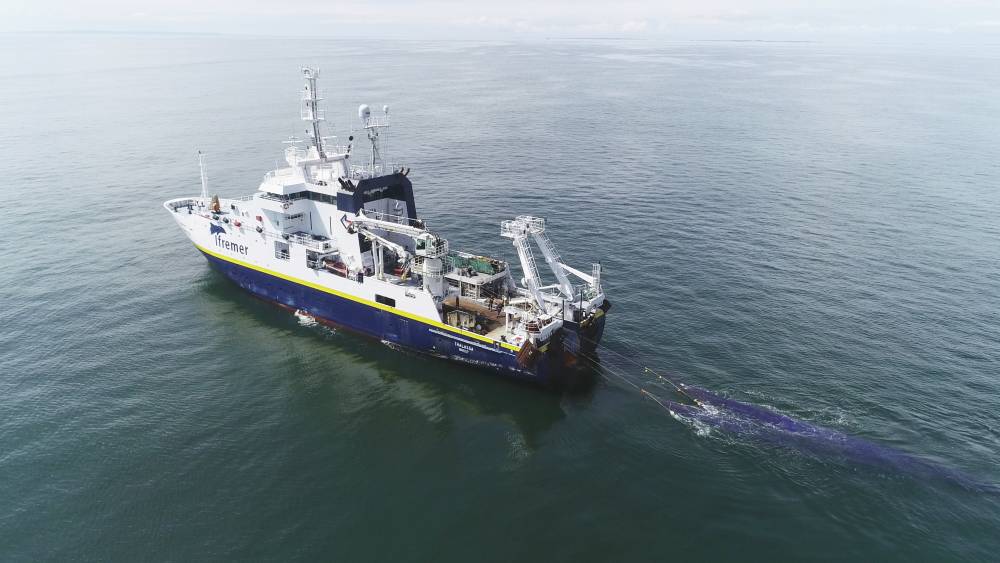 222187 fofifremer thalassa chalut mésopélagos 2018