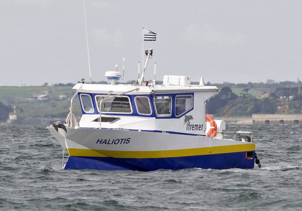222180 haliotis fof ifremer