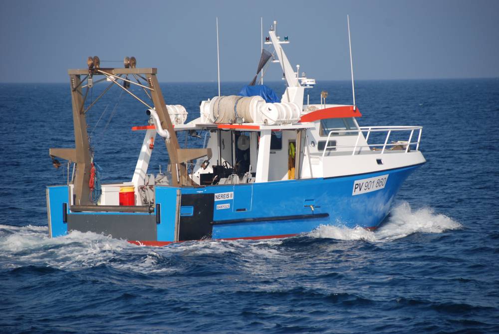 222204 fof cnrs insu nereis II