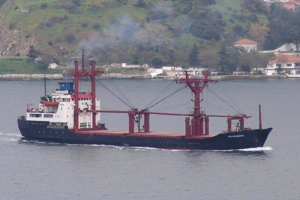 223042 Spiridon
