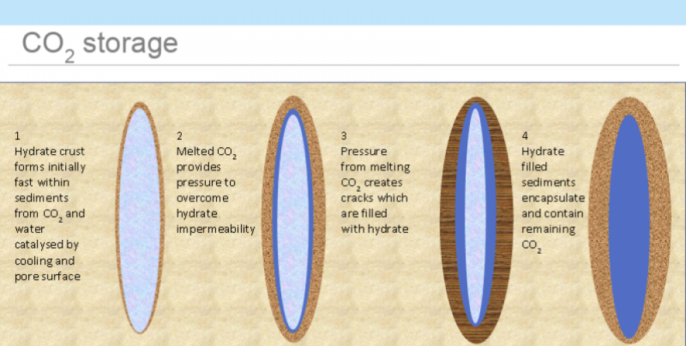 222704 Decarbonice