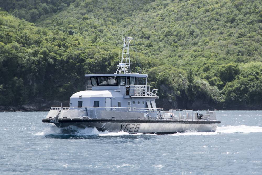 237623 martinique cmm luciole