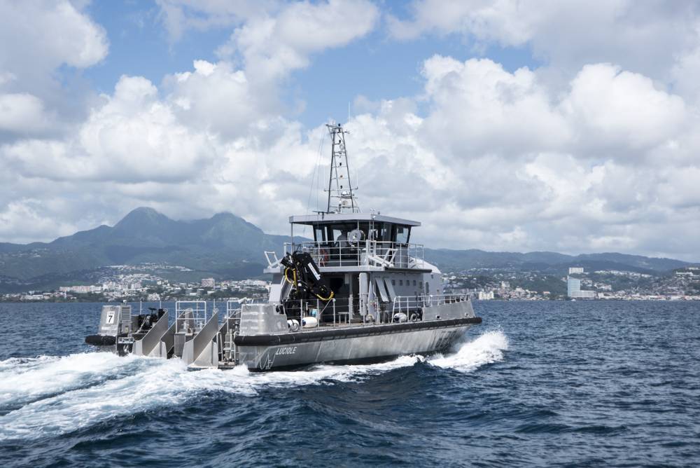 237624 martinique cmm luciole