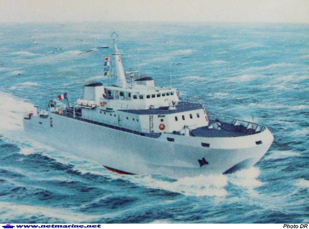 bamo.jpg?itok=5_kdJgJT