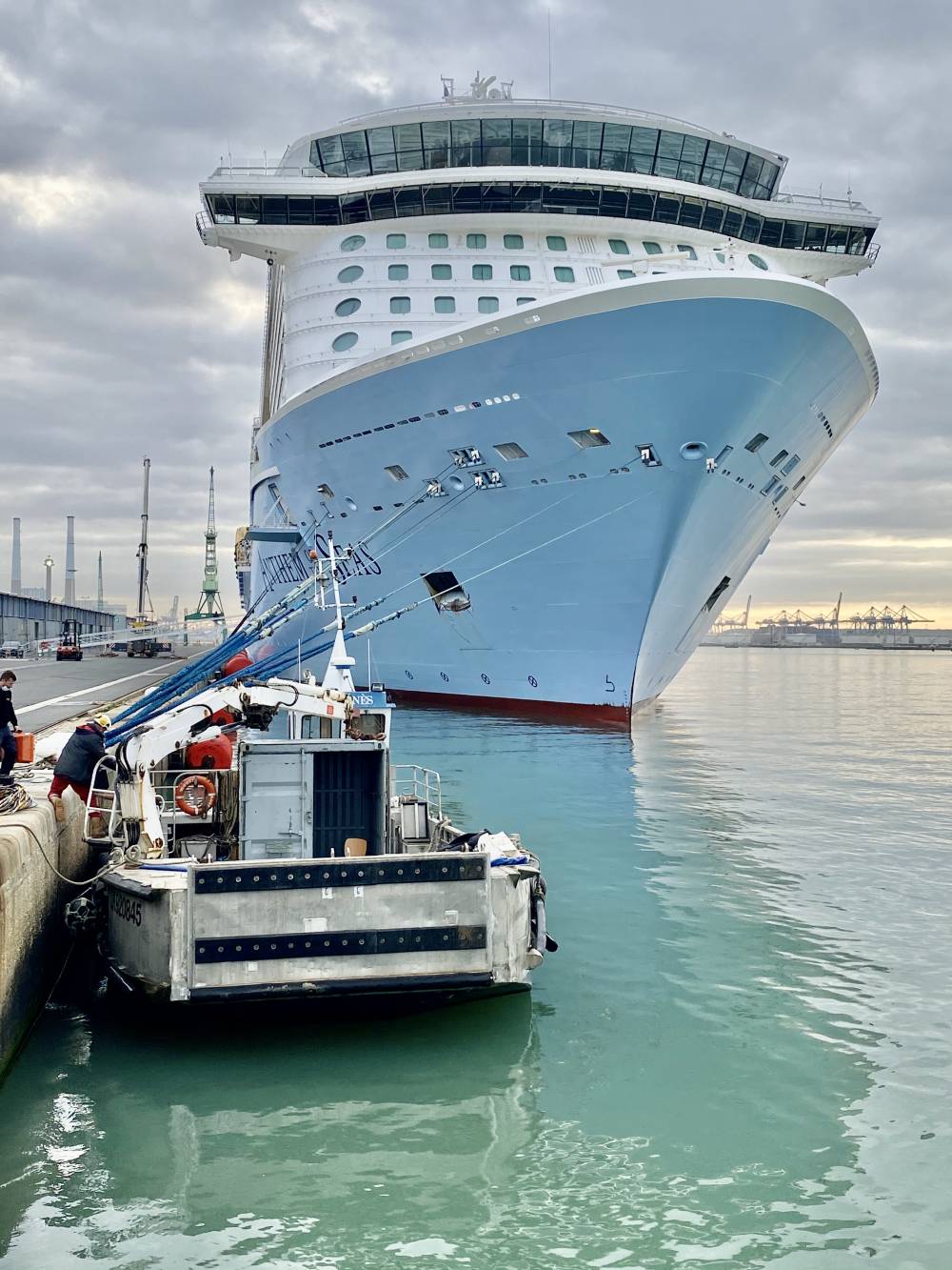 246208 anthem of the seas le havre