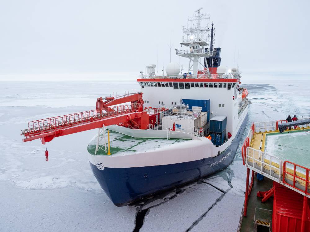 248157 Mosaic polarstern