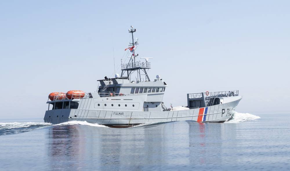 252126 fulmar