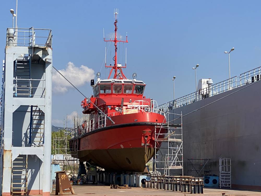 251991 foselev dock paul brutus