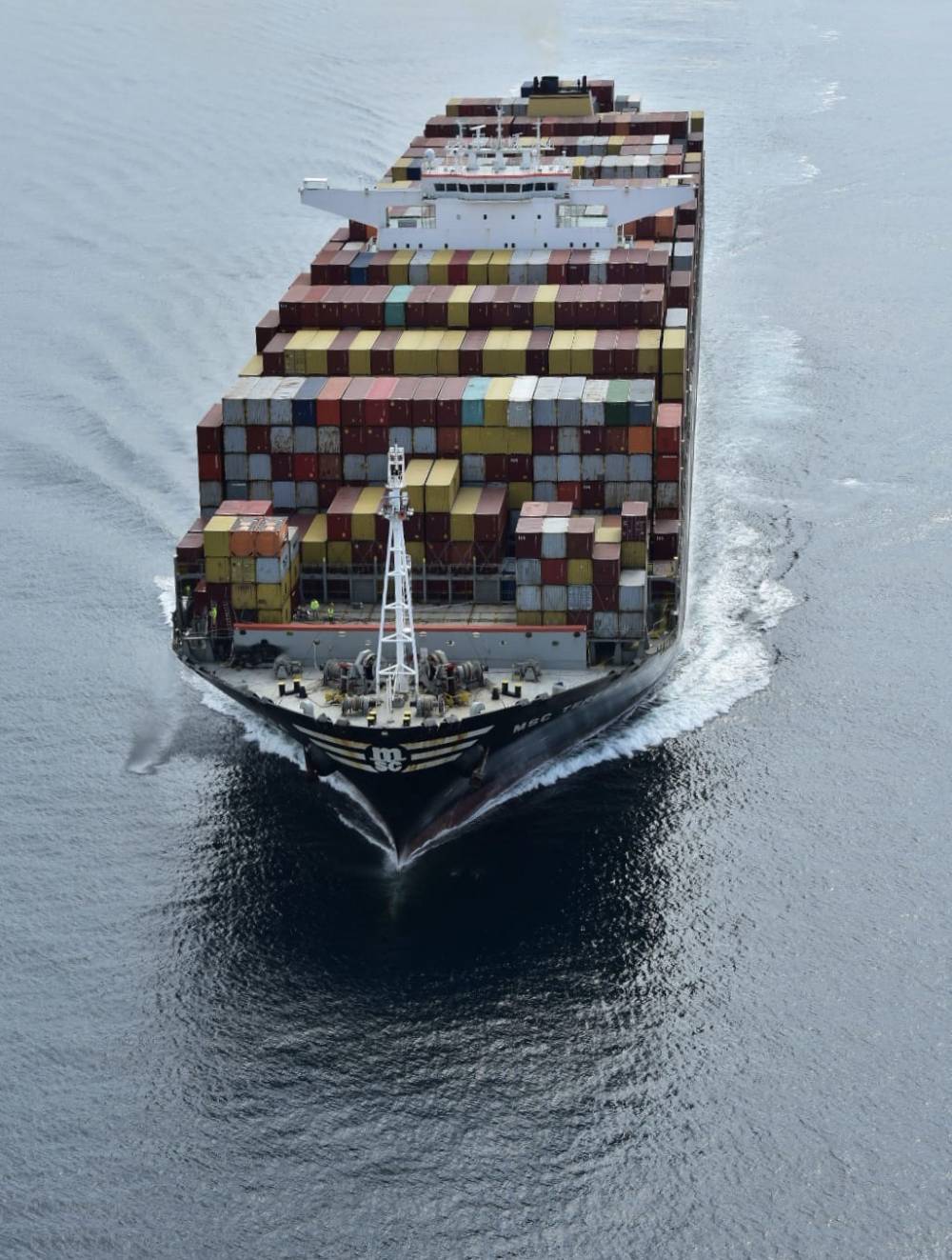 254401 msc teresa caiman