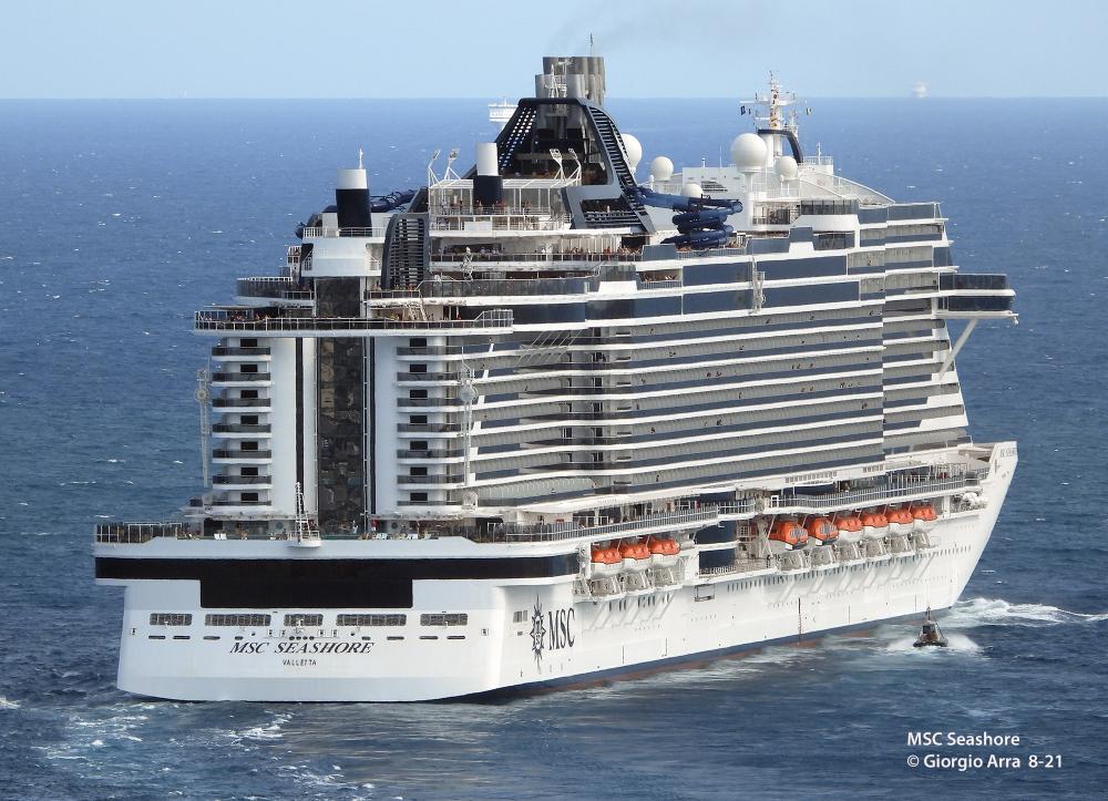 258817 msc seashore