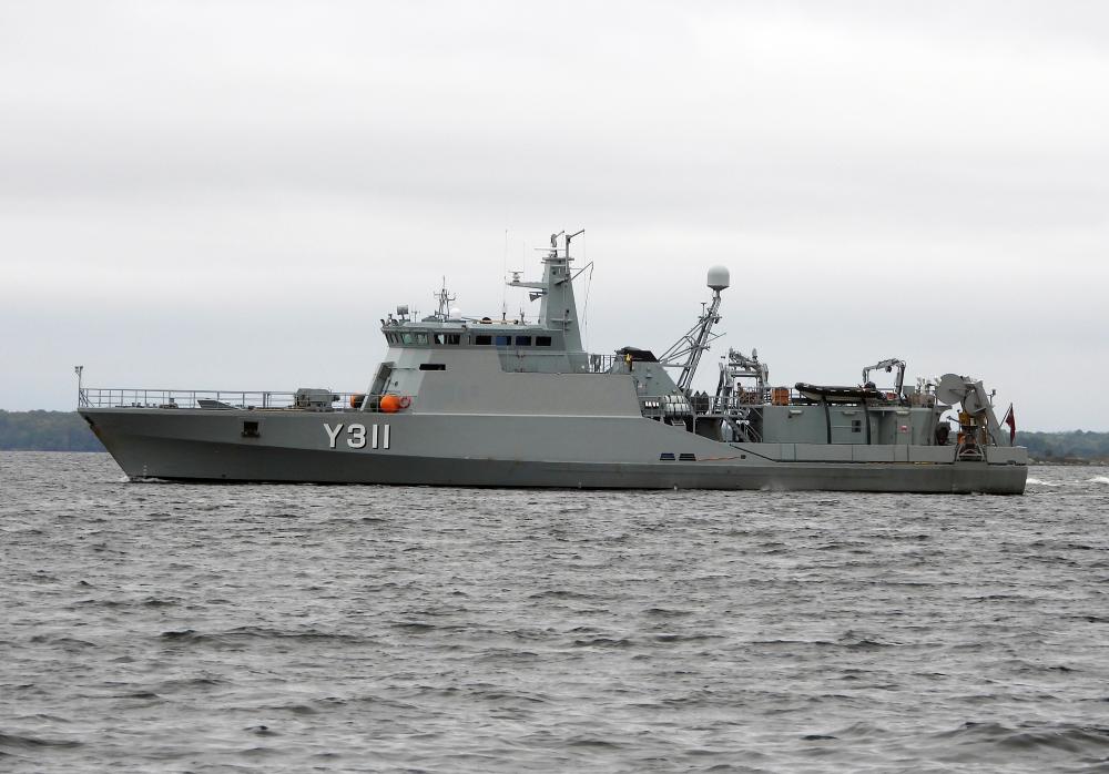 261653 danemark danois soloven