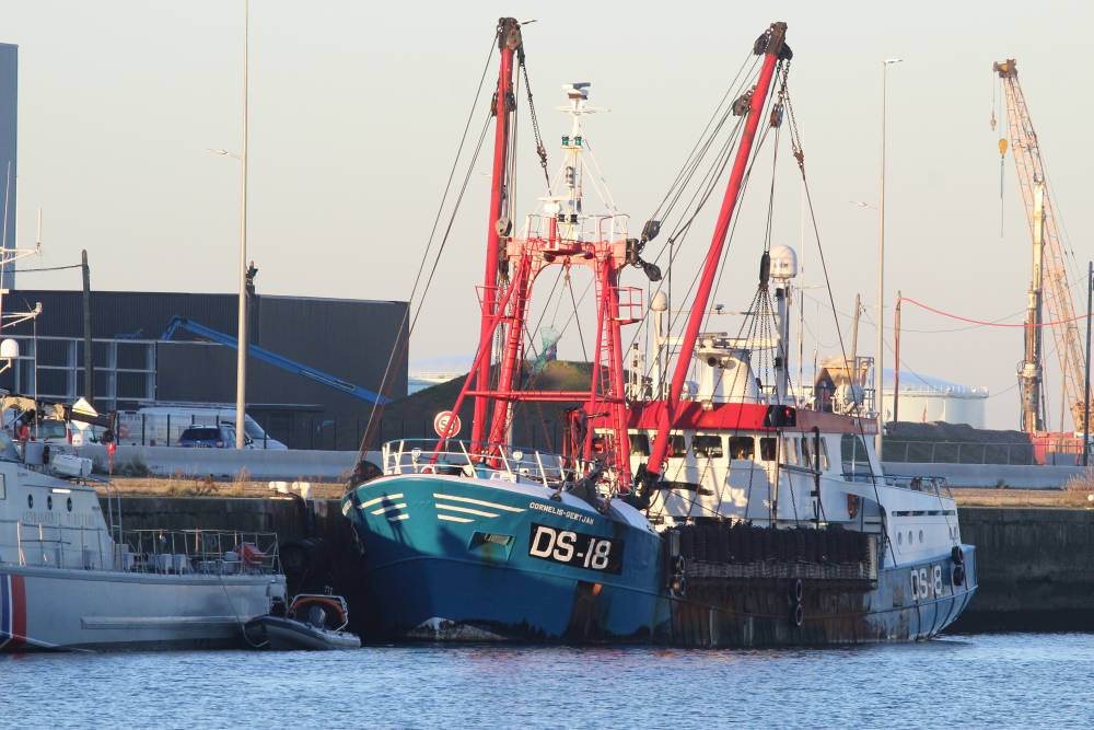 264813 brexit peche athos