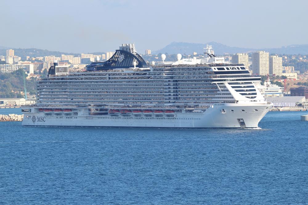 262709 msc seashore