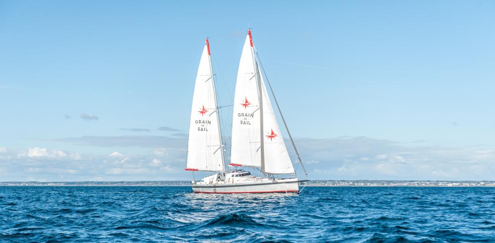 263959 Grain de Sail