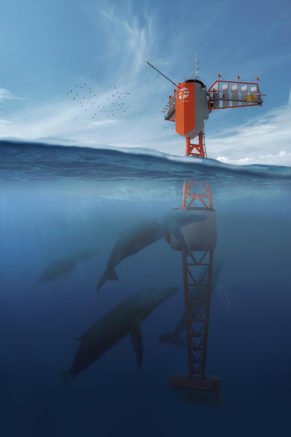 269870 polar pod perseverence