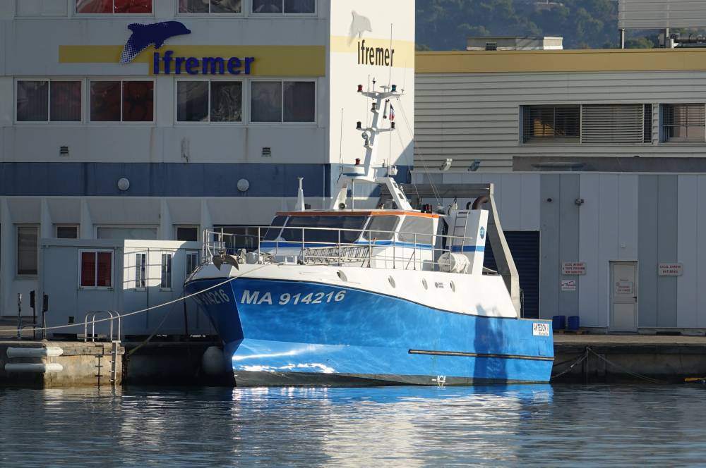 276247 FOF CNRS ifremer anthedon II