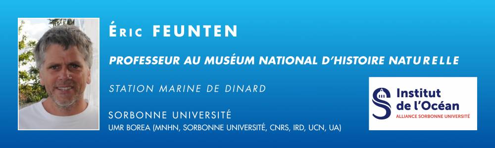 276050 Institut bandeau Feunteun