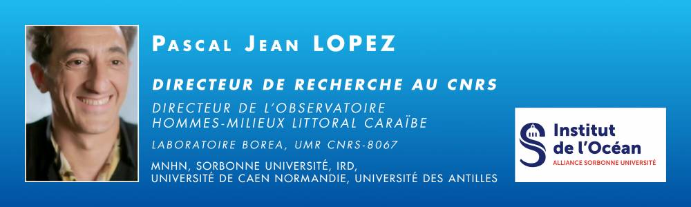276052 Institut bandeau Lopez