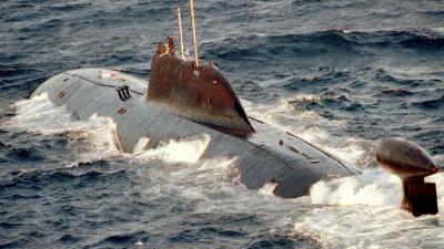 263232 akula